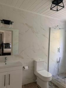 圣詹姆斯Gully Point的白色的浴室设有卫生间和水槽。