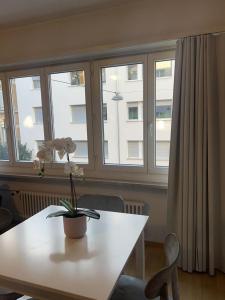 巴塞尔Schweiz (302)的窗户房间里一张桌子上放着植物