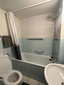 巴塞尔Schweiz (302)的带浴缸、卫生间和盥洗盆的浴室