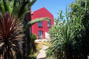 莫卡诺尔Hotel Villa El Mocanal的一座棕榈树的红色房子