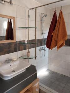 弗利康弗拉克Le Tamier - Amazing holidays的一间带水槽和淋浴的浴室