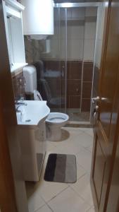 兹拉蒂博尔Apartman Dinić Zlatibor的浴室配有卫生间、盥洗盆和淋浴。