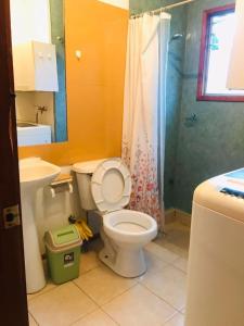 普孔Cabaña Agradable的浴室配有卫生间、盥洗盆和淋浴。