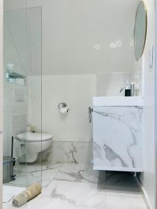 Ris-OrangisSuperbe appartement avec jardin et parking privé的白色的浴室设有卫生间和水槽。
