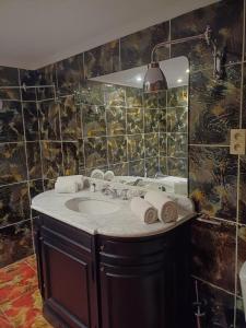 沙勒罗瓦机场公园酒店的一间带水槽和镜子的浴室