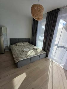 克拉科夫Wielicka Apartment 3的一间卧室设有一张床和一个大窗户