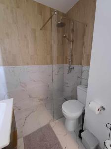 克拉科夫Wielicka Apartment 3的带淋浴、卫生间和盥洗盆的浴室