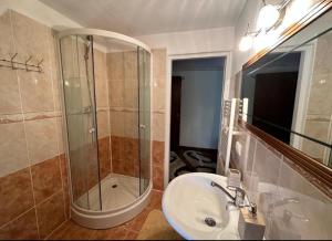 Statjunea BorsaPensiunea 3flori de Colț的一间带玻璃淋浴和水槽的浴室