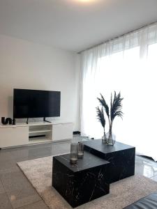 许托夫Apartment by Harbali的客厅配有电视和黑咖啡桌。