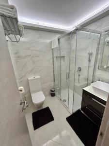 木洛希尼Apartment Stella的带淋浴、卫生间和盥洗盆的浴室