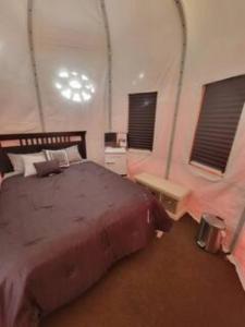 卡纳布Crazy Horse - APT 1的一间卧室设有一张大床和两个窗户。