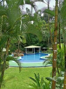 San Rafael NorteHotel y Restaurante El Páramo的棕榈树庭院内的游泳池