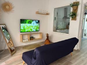 阿尔齐拉Alzira bonita Loft C junto plaza mayor, Les Muralles的客厅设有壁挂式平面电视。