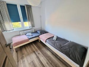 新塔尔格Apartament na wynajem的一间卧室设有两张床和两个窗户。