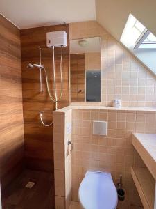 威廉斯塔德Boca Simon Vacation Curacao的一间带卫生间和淋浴的小浴室
