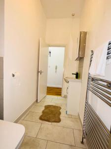 圣伦纳兹Newly refurbished two bedrooms flat的一间带水槽和卫生间的小厨房