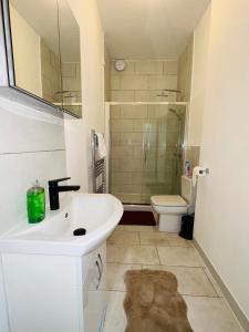 圣伦纳兹Newly refurbished two bedrooms flat的一间带水槽和卫生间的浴室