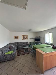 布伦托尼科CA' EDDA APPARTAMENTO GIULIA的客厅配有沙发和乒乓球桌