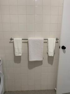 邦加里Bribie Get away的浴室的墙壁上挂着白色毛巾
