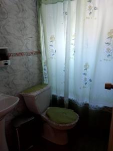 普尤瓦比港Hostal y Cabañas Ventisquero的浴室配有带浴帘的卫生间