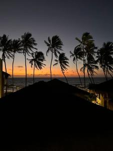 雅帕拉廷加Kuarasy Boutique Hotel Japaratinga的日落时分在海滩上种植的棕榈树