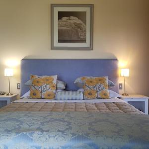 亚历山德拉Hawkdun Rise Vineyard & Accommodation的一间卧室配有一张带蓝色床头板和枕头的床。