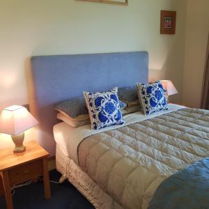 亚历山德拉Hawkdun Rise Vineyard & Accommodation的一间卧室配有一张带蓝色和白色枕头的床