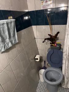 瓦哈卡市Departamento de Cantera的浴室里设有蓝色厕所,上面有植物