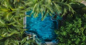 富国M Village Phu Quoc的享有棕榈树游泳池的顶部景致