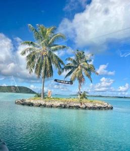 波拉波拉Bora bora sweet dream的水中岛上两棵棕榈树