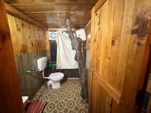 吉布Nebula Nook TreeHouse的一间带卫生间的浴室,里面有一棵树