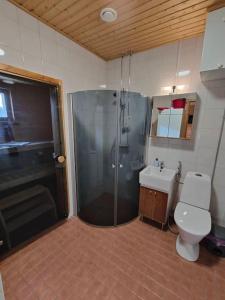萨利色尔卡Twin Peaks Urupää B Saariselkä的带淋浴、卫生间和盥洗盆的浴室