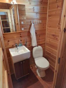 萨利色尔卡Twin Peaks Urupää B Saariselkä的一间带卫生间和水槽的小浴室
