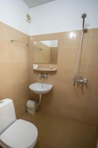 大特尔诺沃Park Hotel Ivailo的一间带卫生间和水槽的浴室