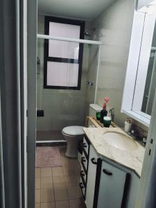 里约热内卢Plaza Elysees 202的一间带水槽和卫生间的浴室