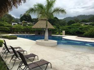 雅科Villa Paraiso do Mar的一个带两把椅子的游泳池,一个棕榈树