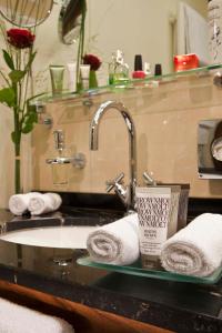 慕尼黑MAXIMILIAN MUNICH Apartments & Hotel的浴室柜台配有水槽和毛巾