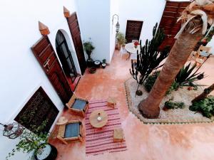 马拉喀什达尔努巴摩洛哥传统庭院住宅的享有带棕榈树的客厅的顶部景色