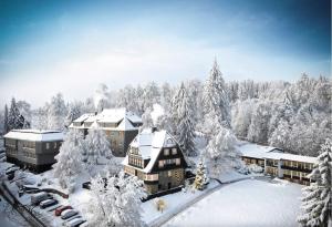 布劳恩拉格THE HEARTS HOTEL - dein Boutique- und Event-Resort的雪覆盖的森林中的度假胜地