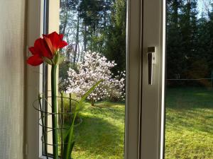 费尔德伯格Ferienwohnung Villa am Haussee的窗户上红色花瓶