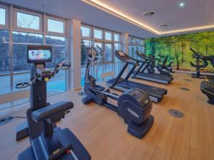 斯塔茨巴德·布鲁克瑙多灵特度假村&巴特布吕肯瑙浴场的健身房设有数台跑步机和有氧运动器材