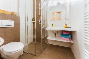 魏森湖卡门霍夫公寓式酒店的带淋浴、卫生间和盥洗盆的浴室