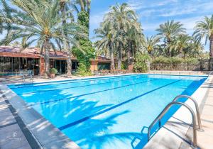 埃尔切千禧花园酒店的一座棕榈树环绕的游泳池