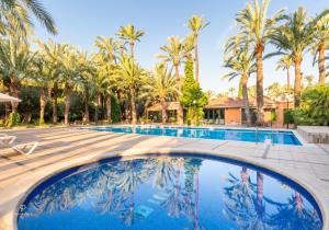 埃尔切千禧花园酒店的一座棕榈树游泳池和一座房子