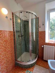 奥梅尼亚Canottieri home的带淋浴的浴室和玻璃门