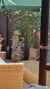 克拉科夫Emerald Spa Guest house的花园,花园内有木栅栏和植物