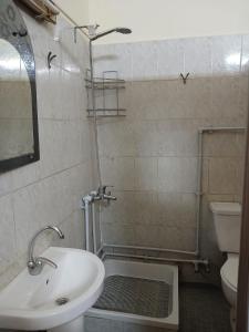 开罗New Palace Hotel的一间带水槽、卫生间和淋浴的浴室