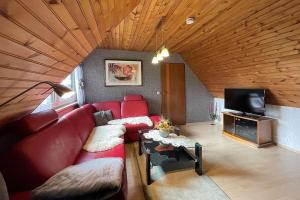 Scheibe-AlsbachFerienhaus-Hellmich的客厅配有红色沙发和电视