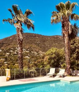 滨海卡瓦莱尔Villa Hirondelles 35的一个带两棵棕榈树和两把椅子的游泳池