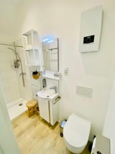 多特蒙德Studio 229的白色的浴室设有卫生间和水槽。